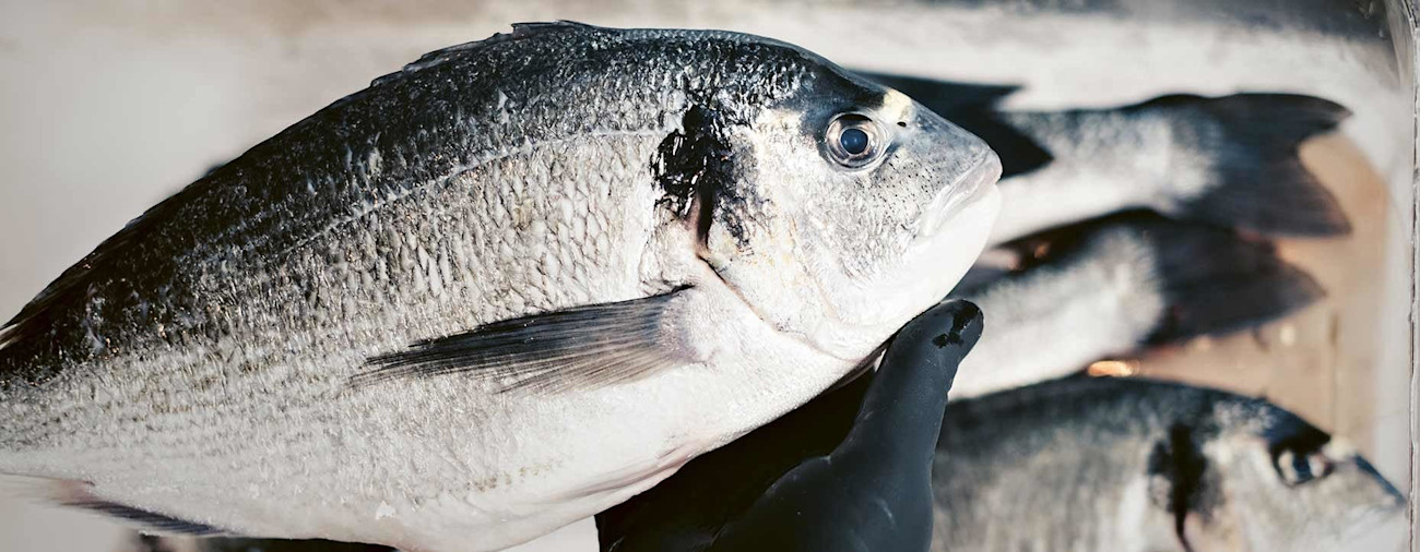 bindella-blog-news-zurigo-al-mare-hero