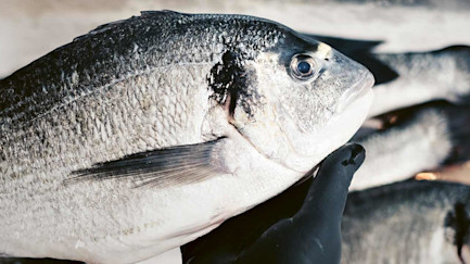 bindella-blog-news-zurigo-al-mare-hero