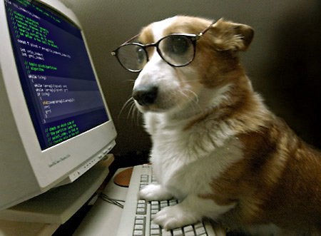 Puppy coding