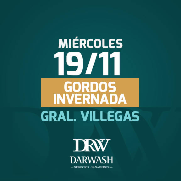 MIERCOLES 19 EN GRAL VILLEGAS - REMATE
