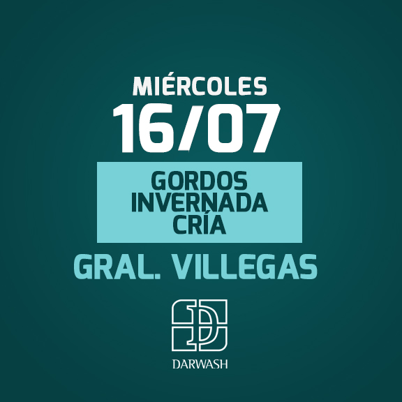 MIERCOLES 18 EN GRAL VILLEGAS - REMATE