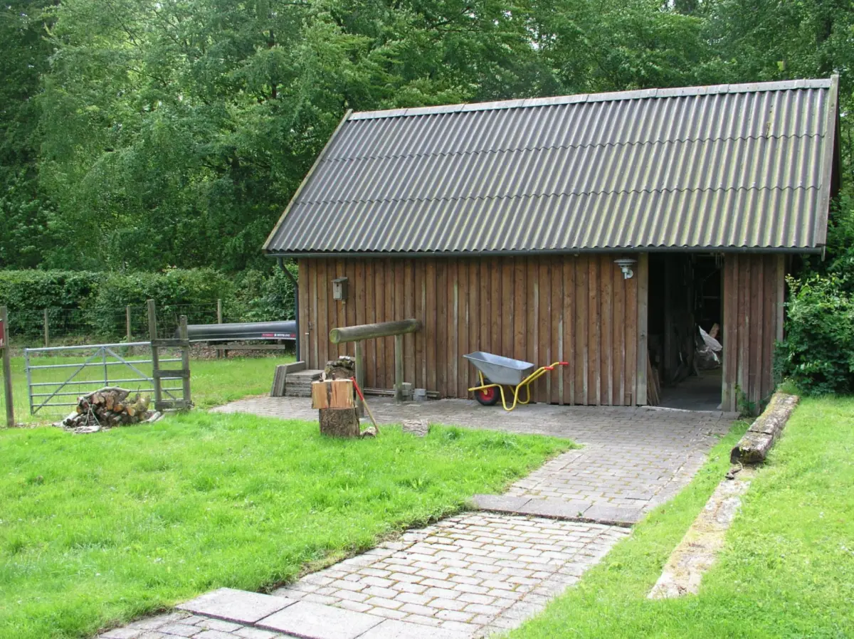 Grunden i skoven udgør 4.118 m2, og skoven ligger i baghaven. Foto: Privat