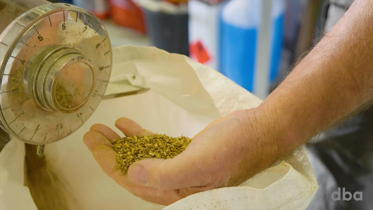 Forskellen på at kværne kaffe og malte korn til øl er, at kaffekværnen kværner kaffebønnerne finere, end kornet til øllen skal maltes. Derfor har Henning taget lidt elementer ud fra kaffekværnens indre, så det passer sammen