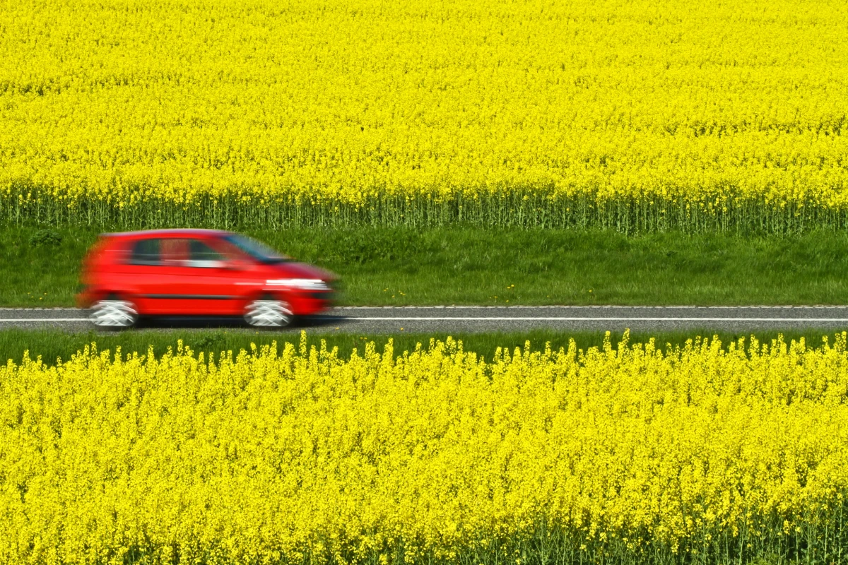 Disse biler blev der sat flest til salg af på DBA i 2019