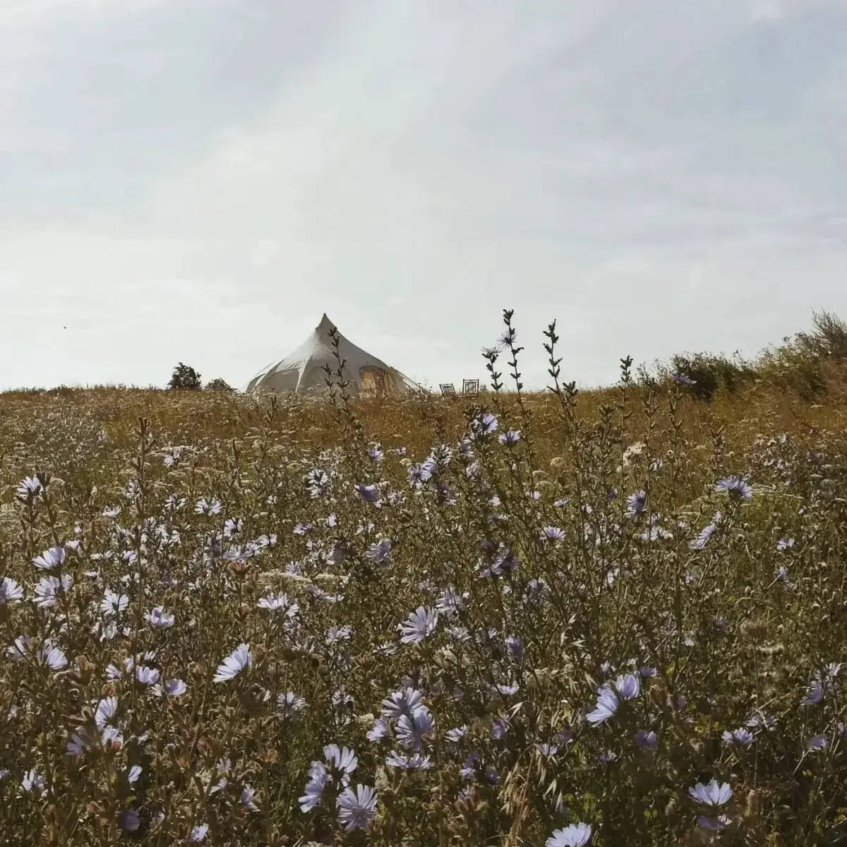 Teglværkspladsen på Ærø, Marstal