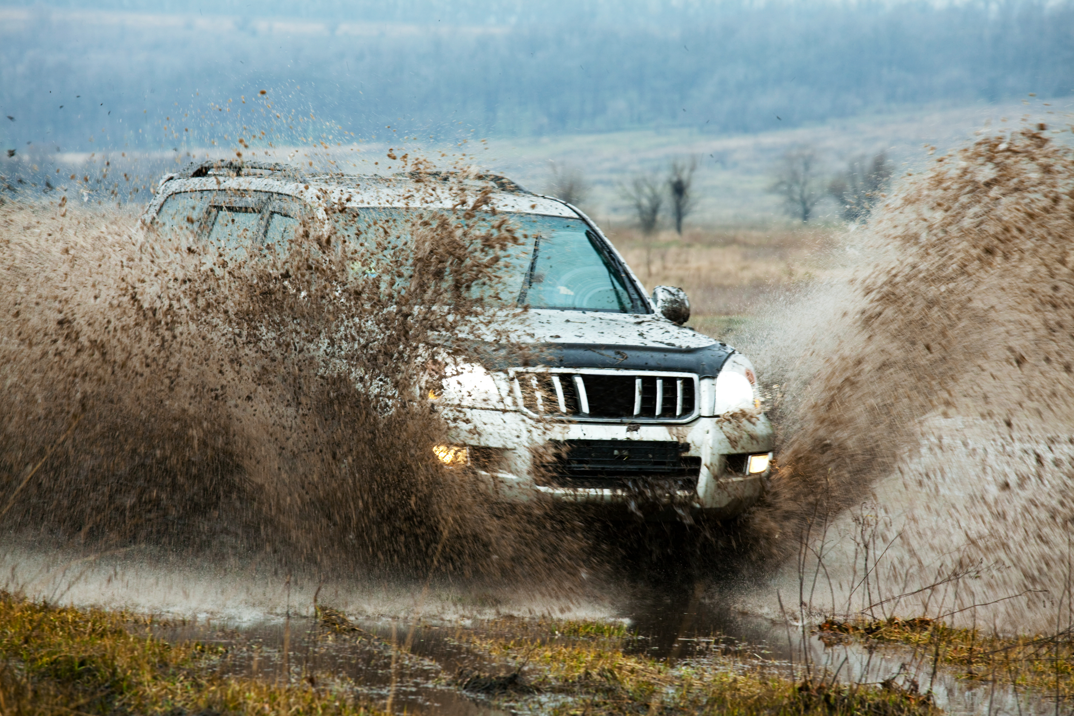 Hvad betyder SUV? Læs alt om de populære SUV’er på DBA