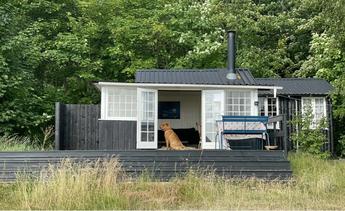 Var det noget med et sommerhus, som alle andre på DBA synes også at være interesseret i?