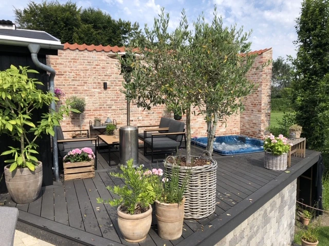 Oliventræet er plantet i en stor fletkurv, og det har fået en central placering på Gretes terrasse.