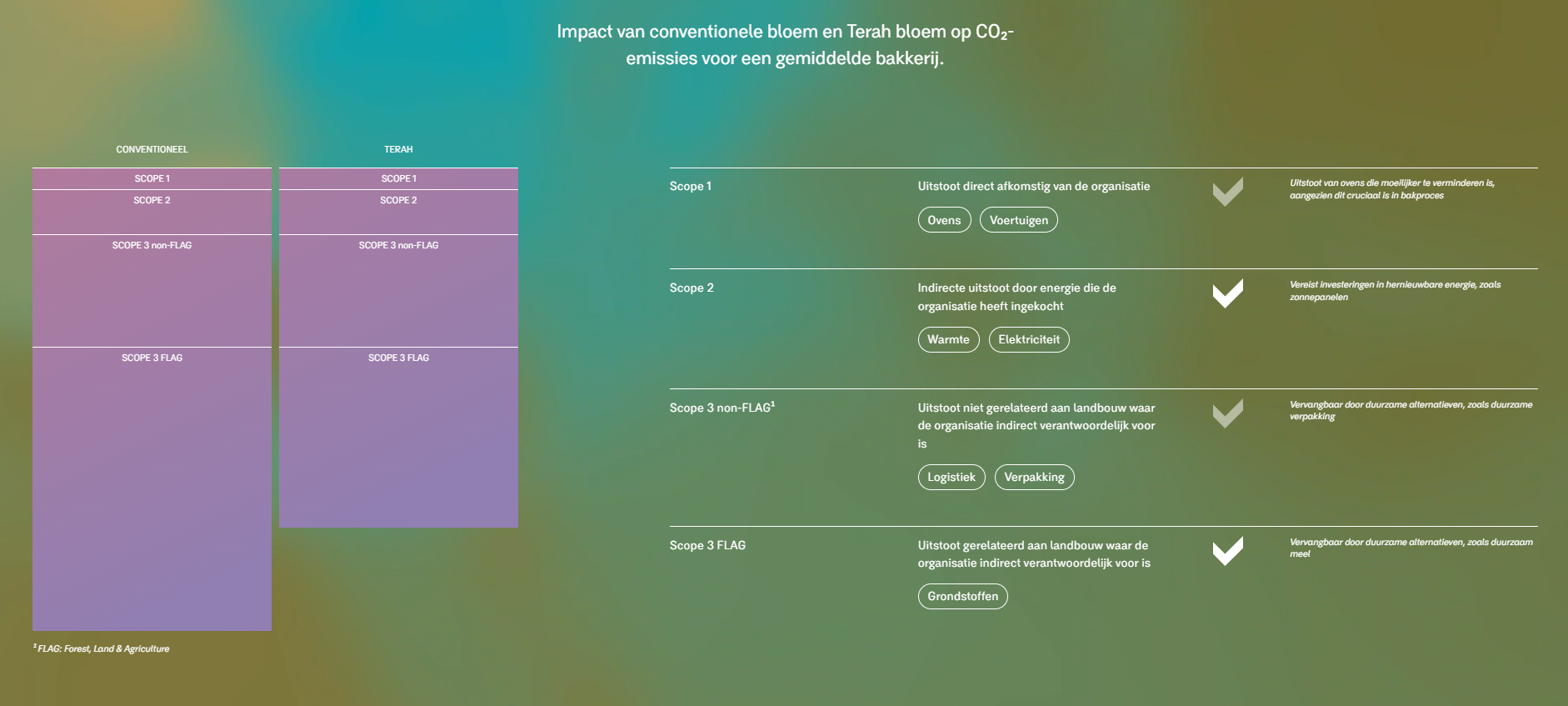 Impact van conventionele bloem en Terah bloem op CO₂-emissies voor een gemiddelde bakkerij.