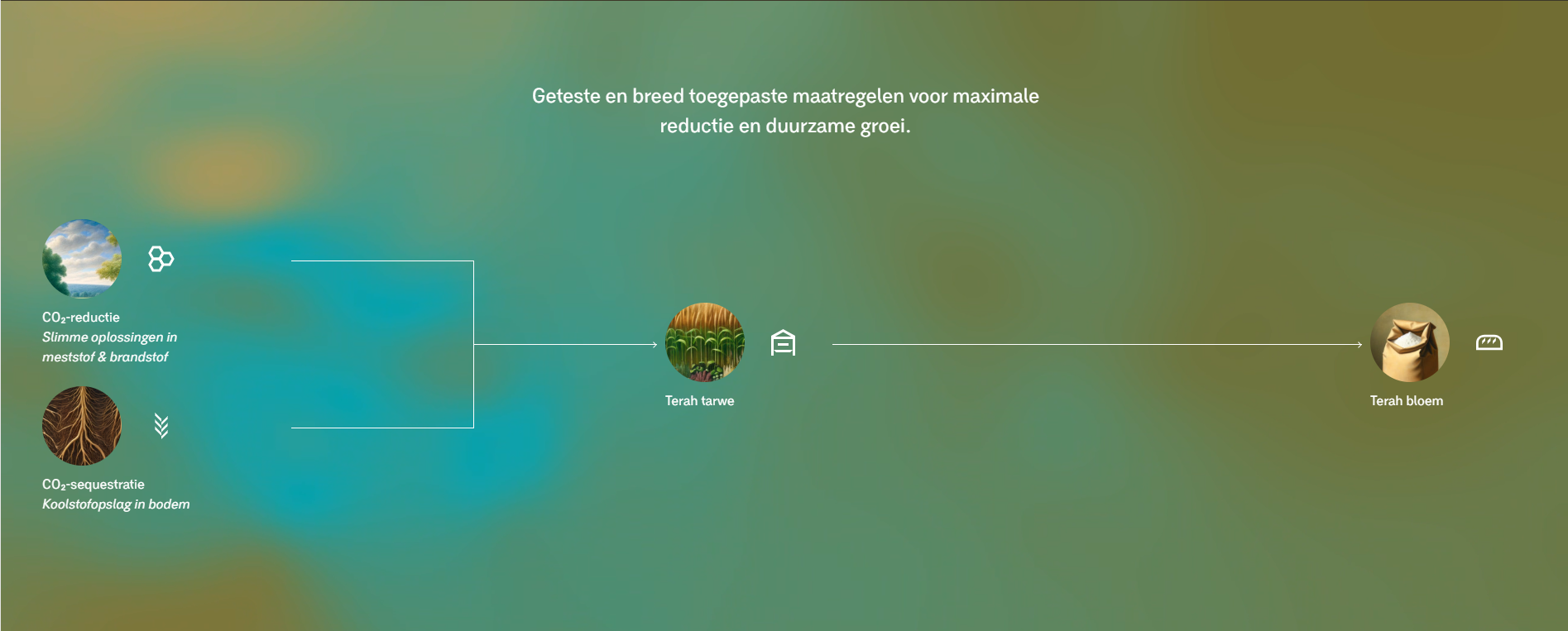 Geteste en breed toegepaste maatregelen voor maximale reductie en duurzame groei.