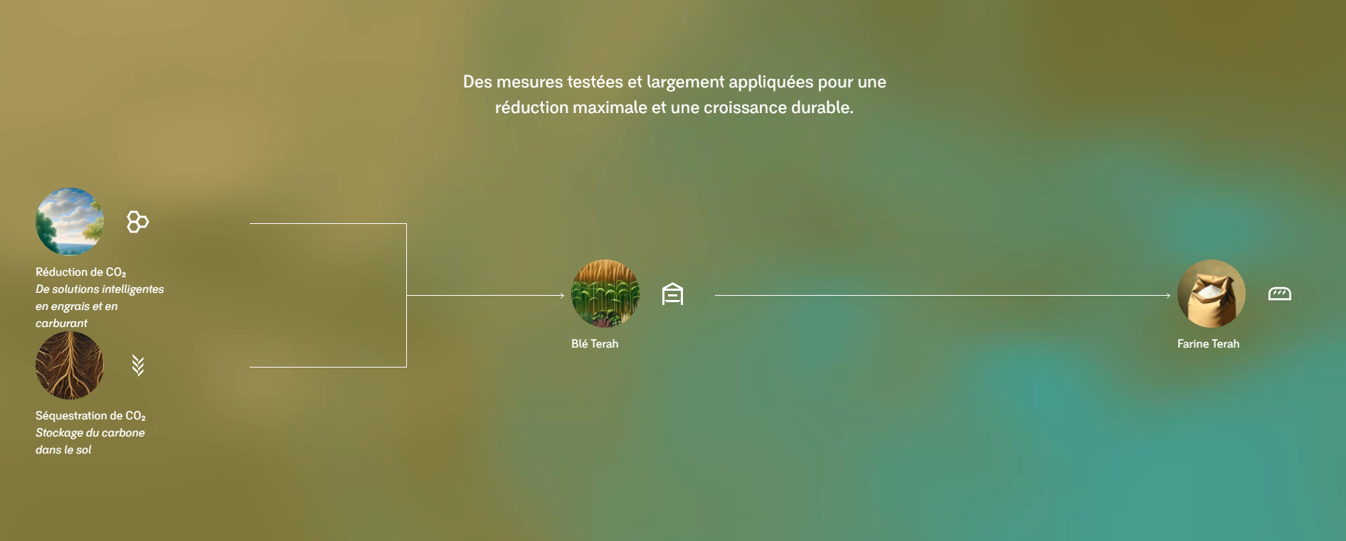 Des mesures testées et largement appliquées pour une réduction maximale et une croissance durable.