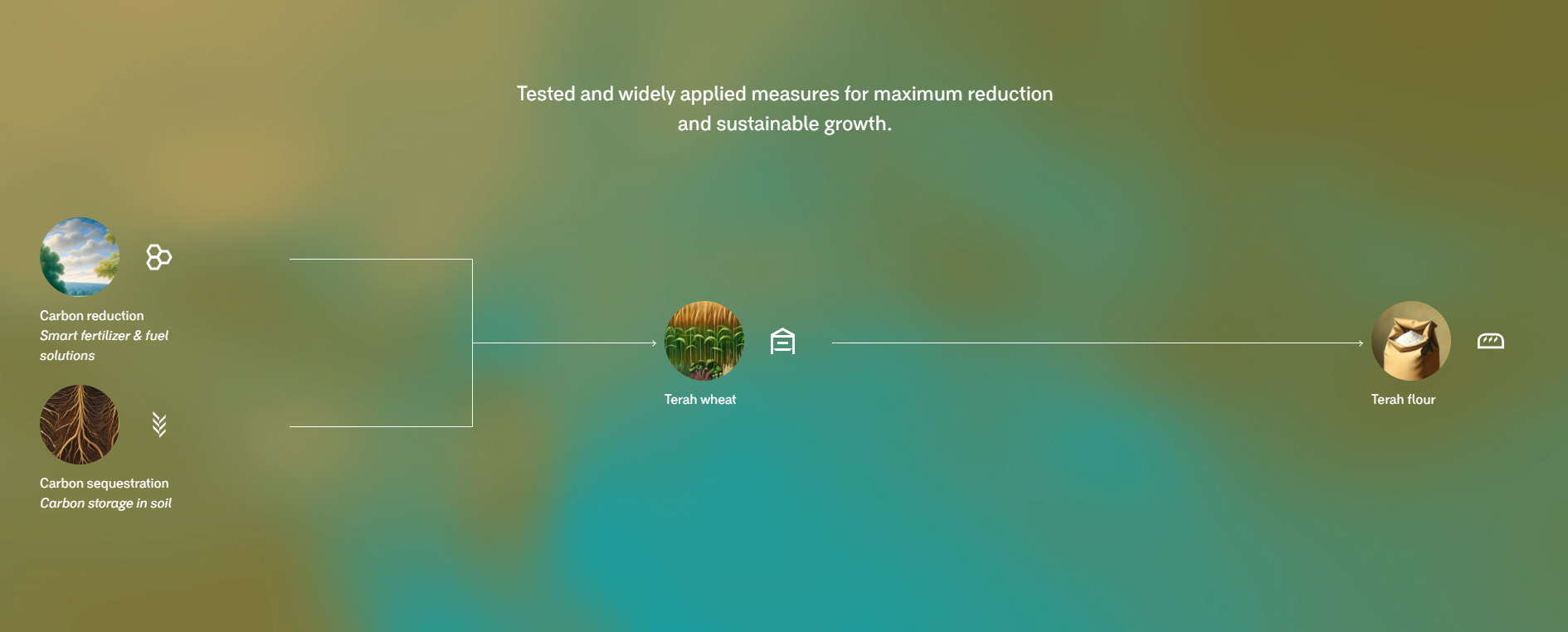 Tested and widely applied measures for maximum reduction and sustainable growth.