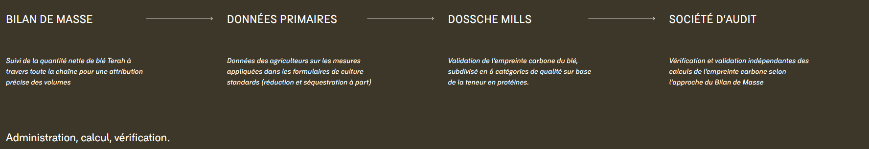 Mass Balance - Audit company