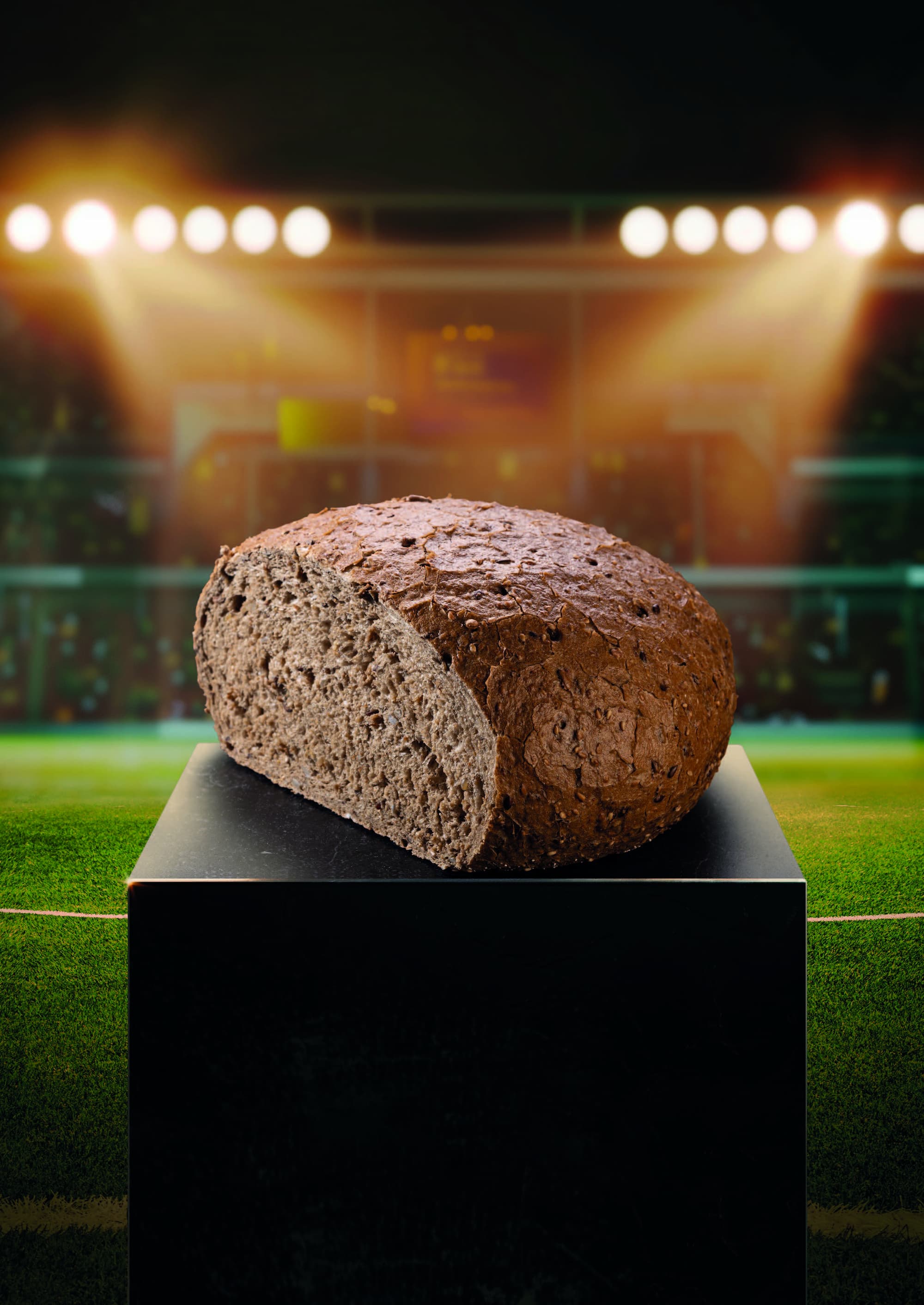 Artipan Pavé pains des fans