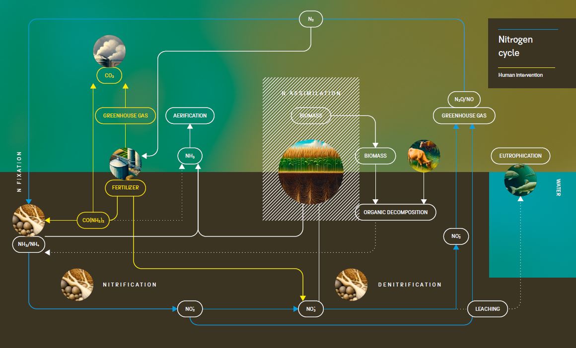 Terah Footprint Program blé durable émission impact