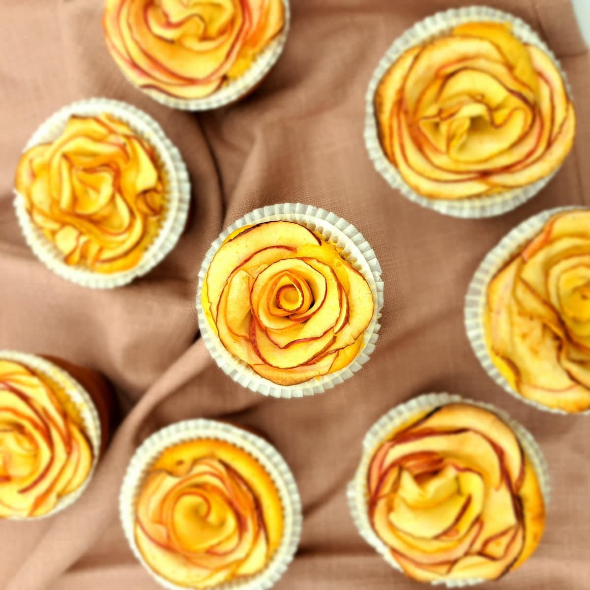 Gâteaux aux roses de pommes