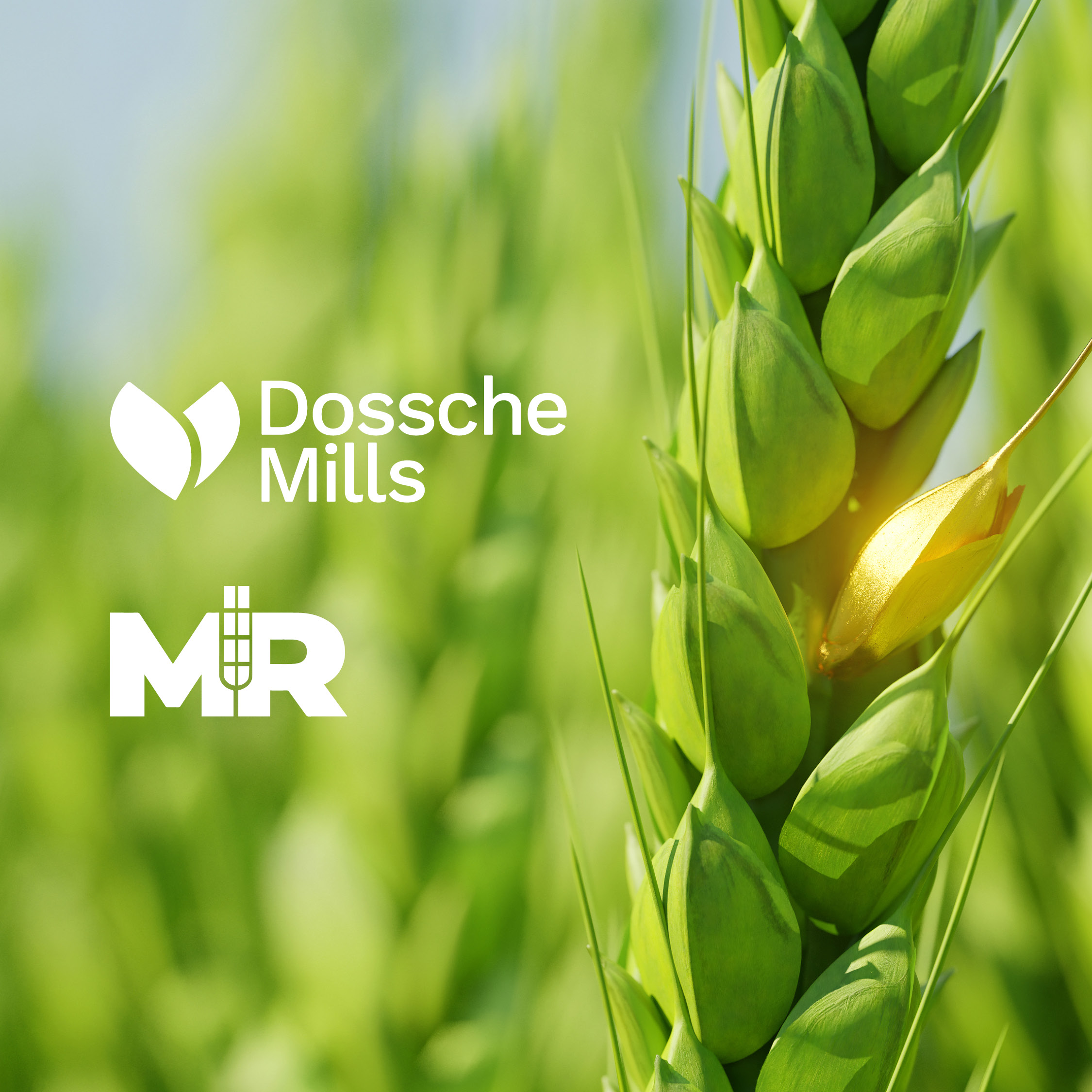 Dossche Mills renforce sa position sur le marché avec la reprise d'un concurrent allemand