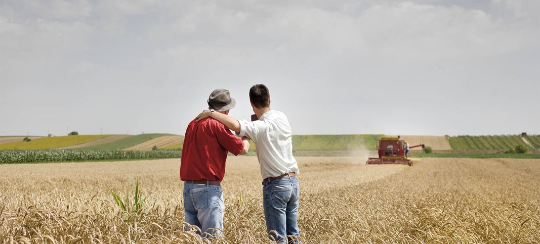 Partnerships in the sustainable wheat chain