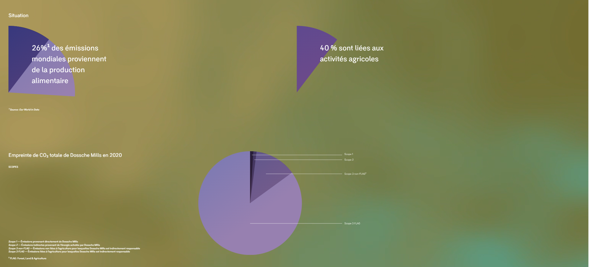 Infographic Duurzame Bloem