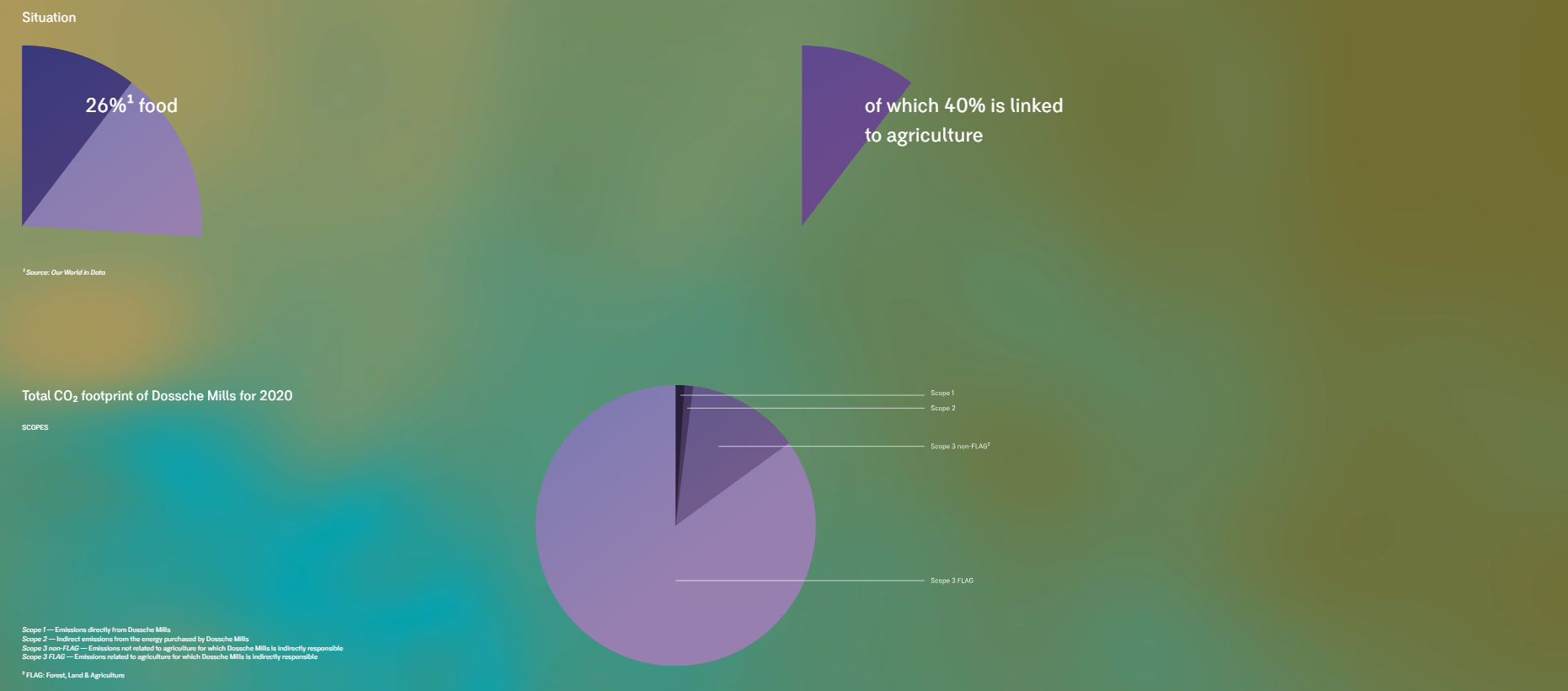 Infographic Duurzame Bloem
