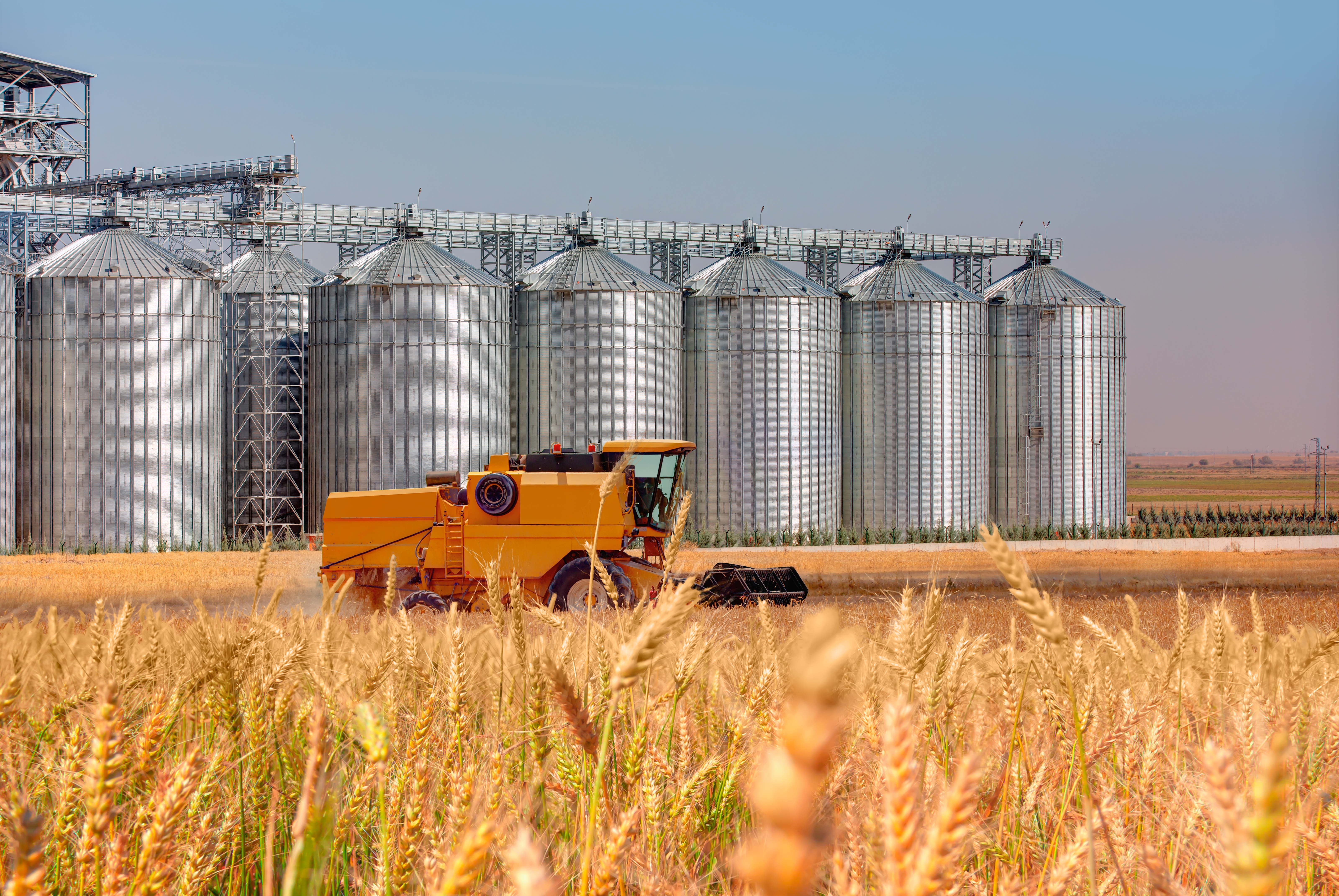 Conseils importants pour l'entretien des installations de silo pour farine et blé