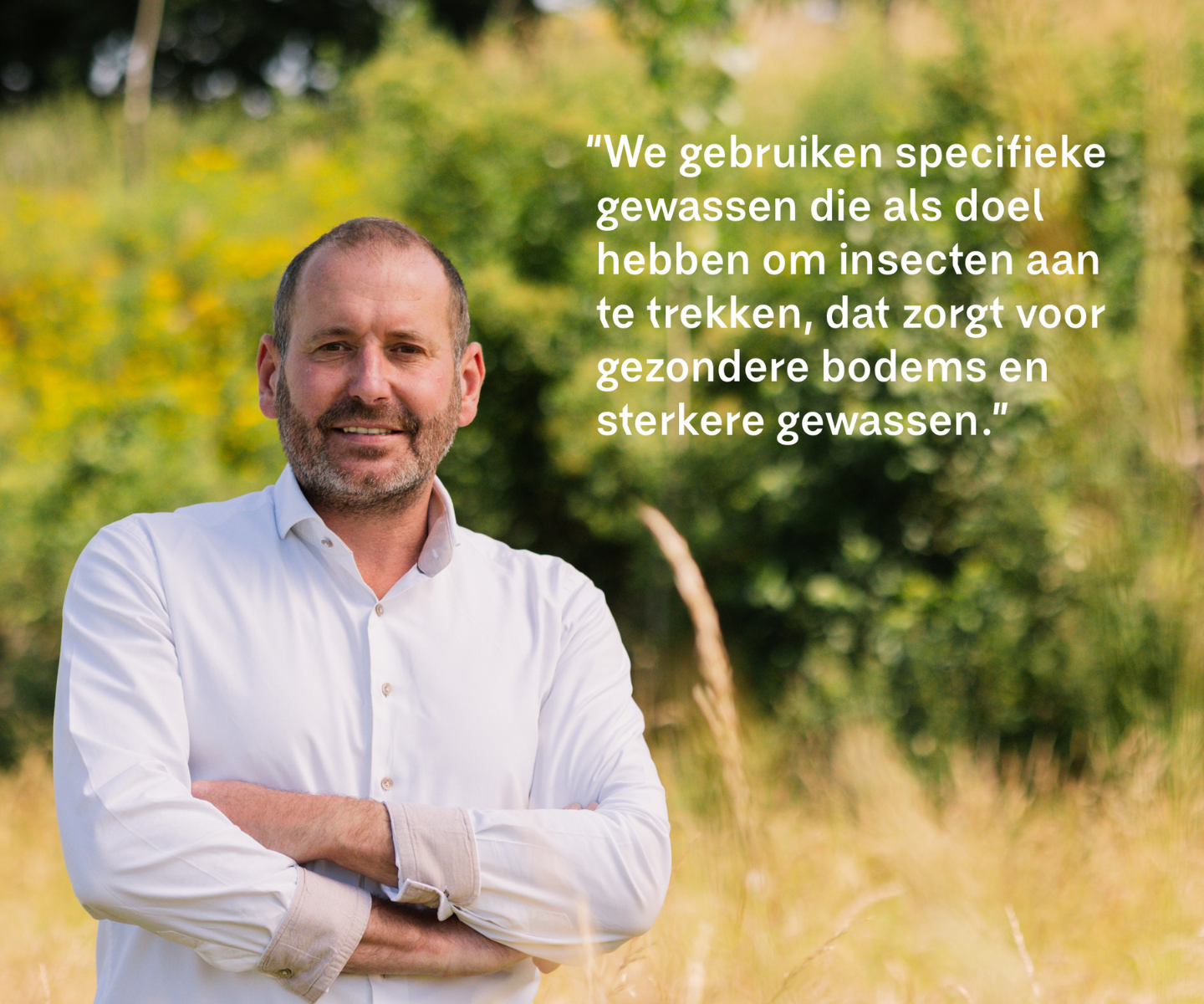 boer terah