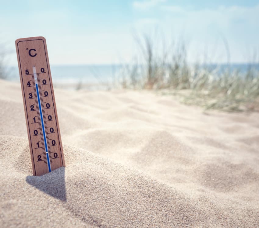 Zomertips voor bakkers