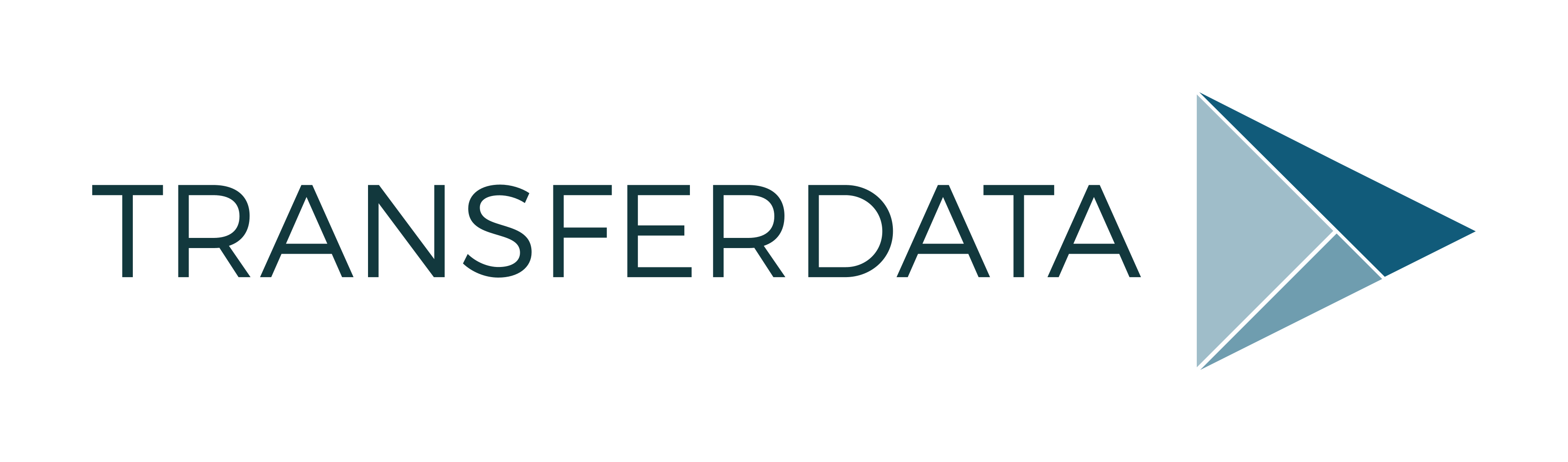 Transferdata GmbH