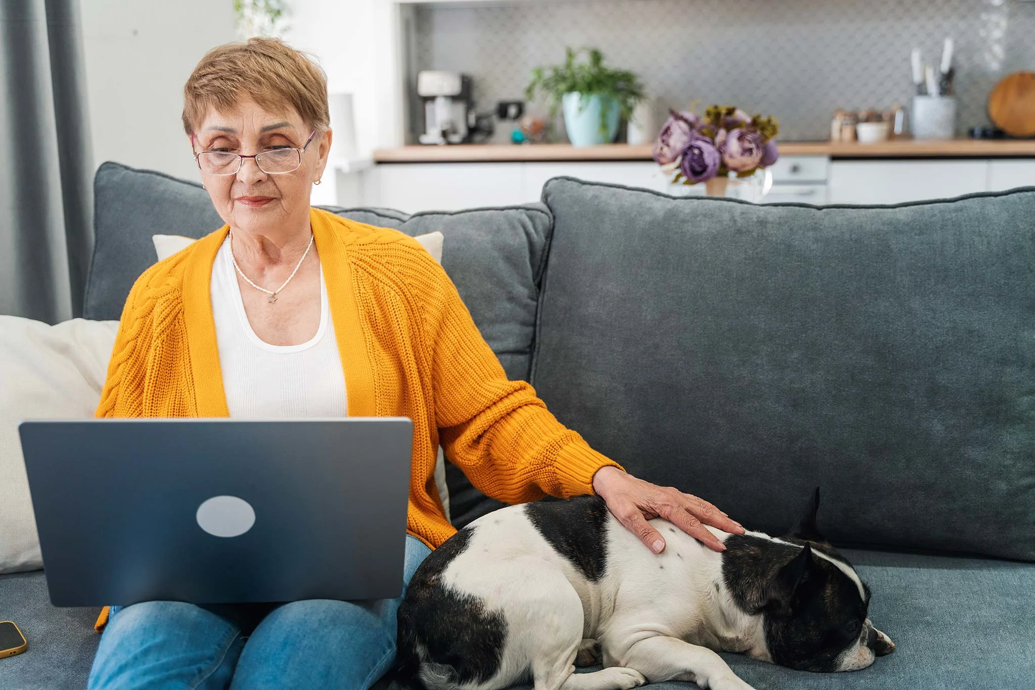 chien-pension-canine