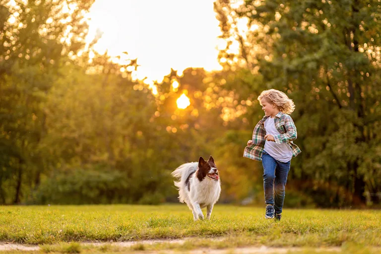 races-chiens-familles-enfants