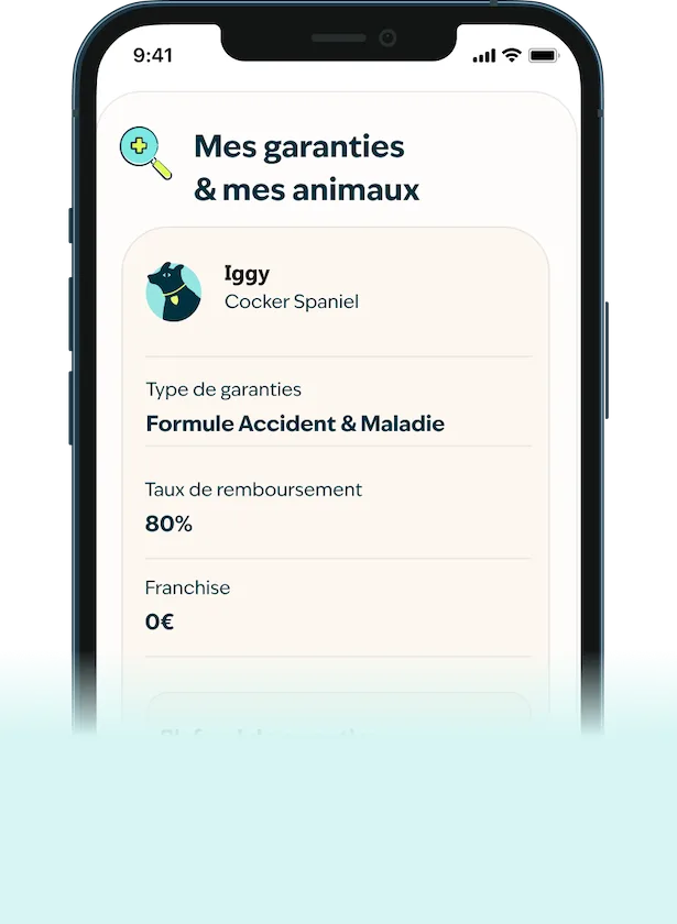 Visuel téléphone application figo feuille de soins
