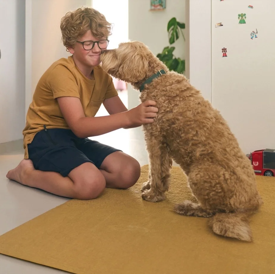 Un garçon et son chien