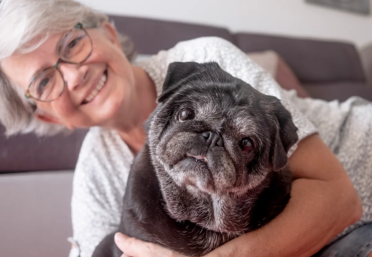 quel-âge-adopter-chien-personne-âgée