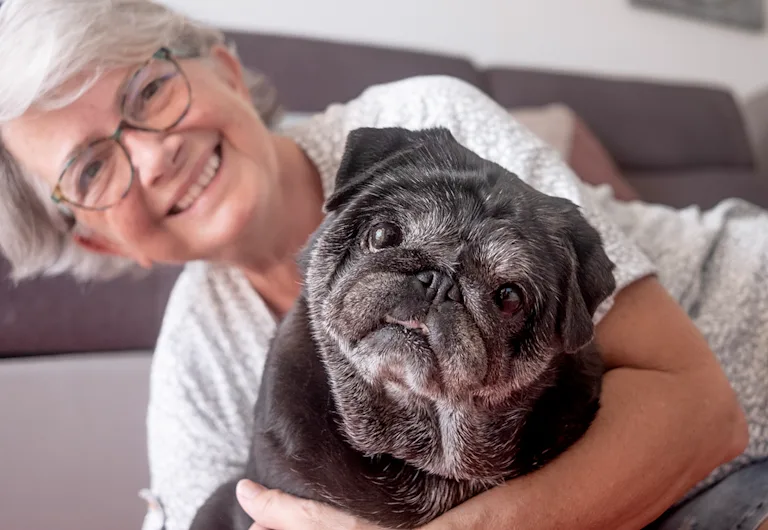 quel-âge-adopter-chien-personne-âgée