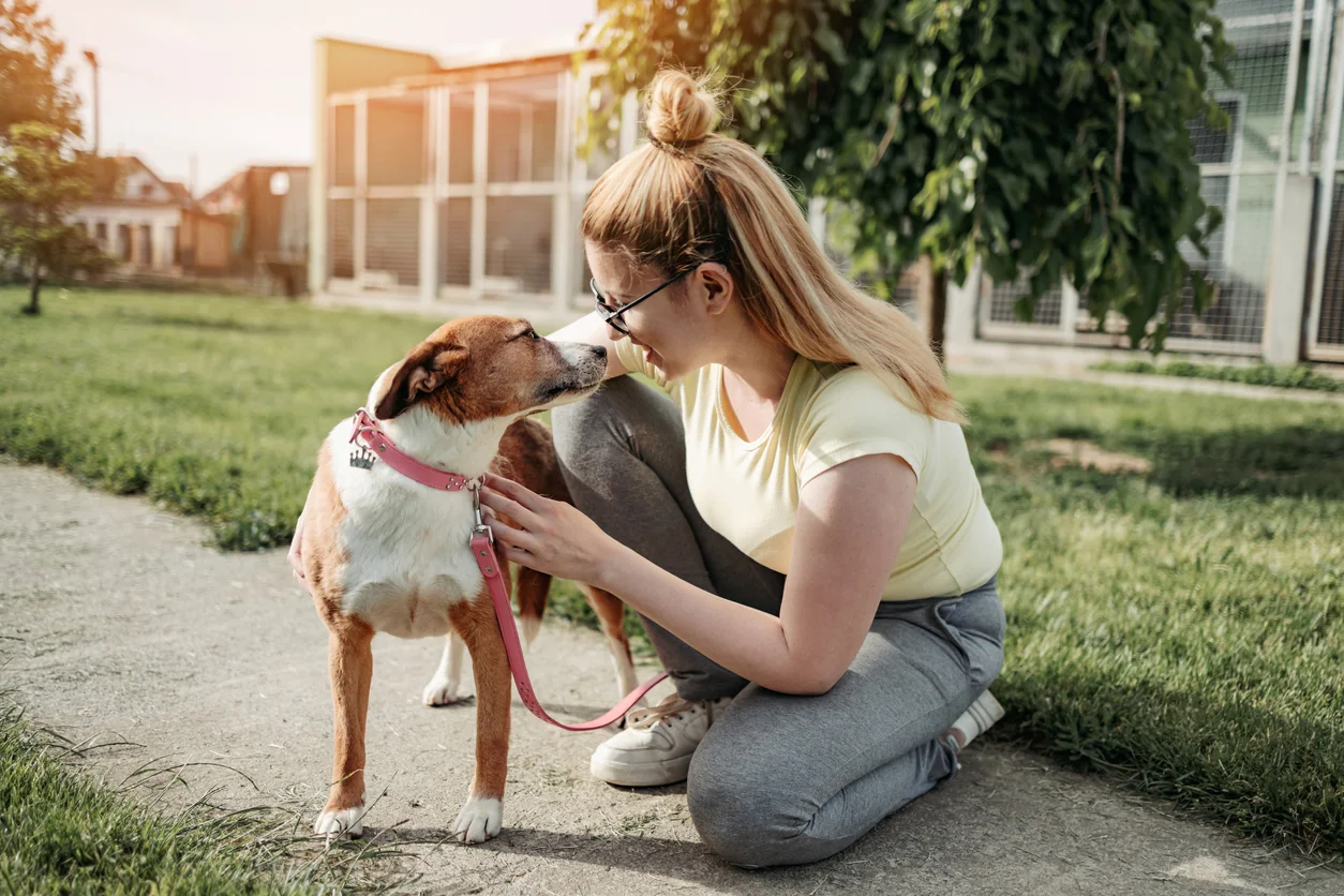 10 bonnes raisons d'avoir un chien