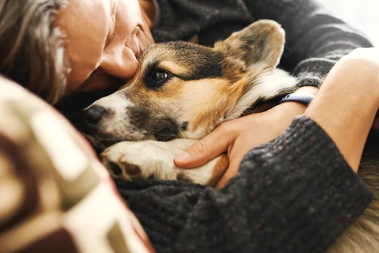 choisir-une-assurance-pour-son-chien