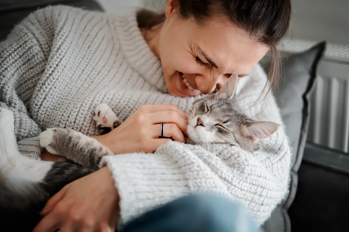 choisir-assurance-chat