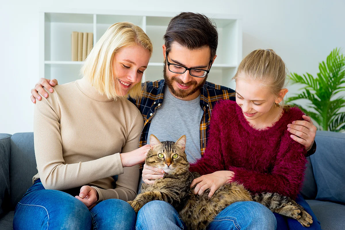devenir-famille-accueil-chat