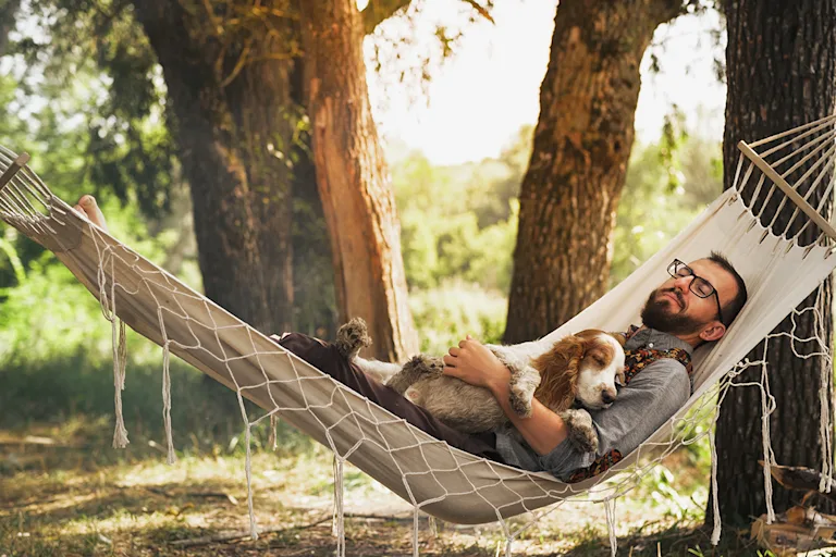 chien-qui-stresse-en-vacances