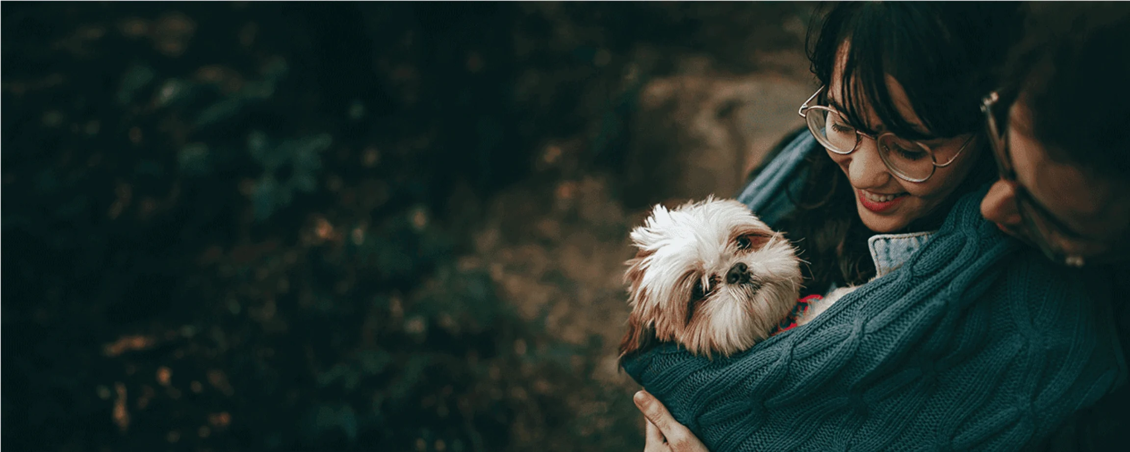 chien merite votre protection