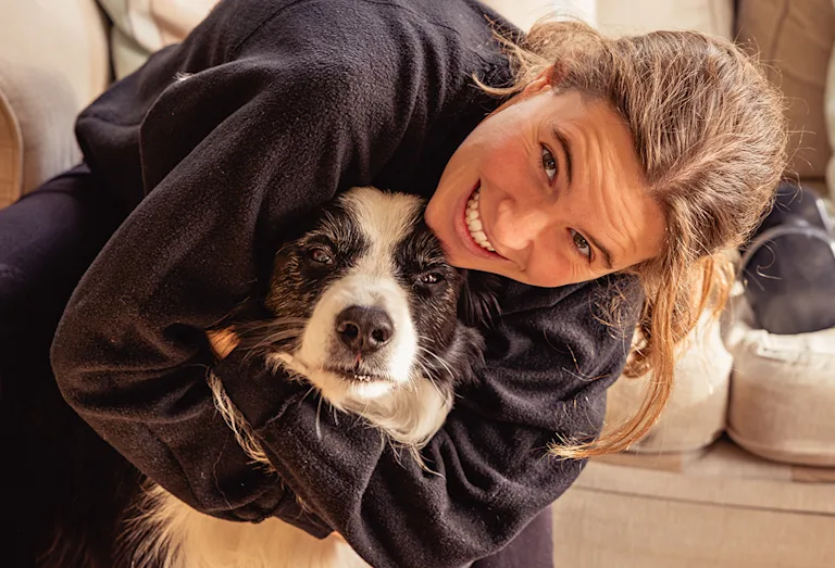 avoir-border-collie-quand-on-travaille
