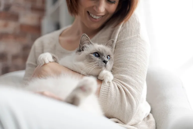 chatte-une-portee-dans-sa-vie
