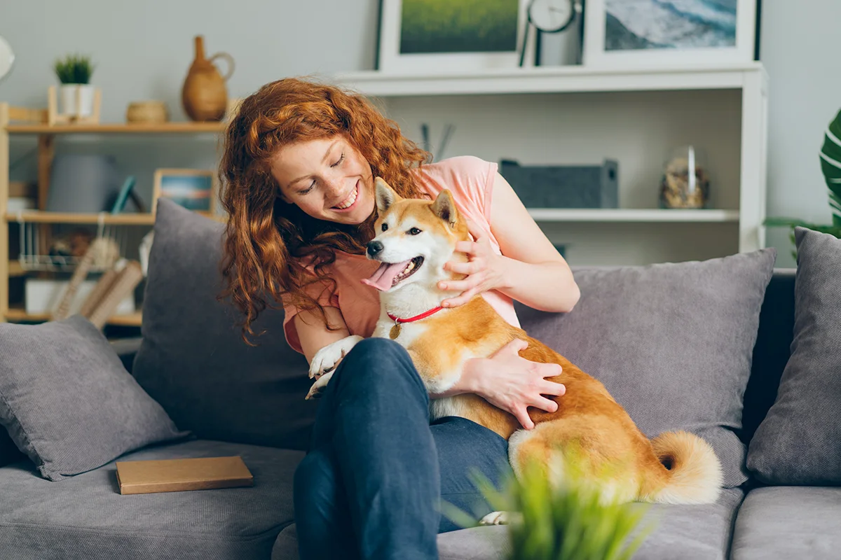 mon-chien-me-suit-partout