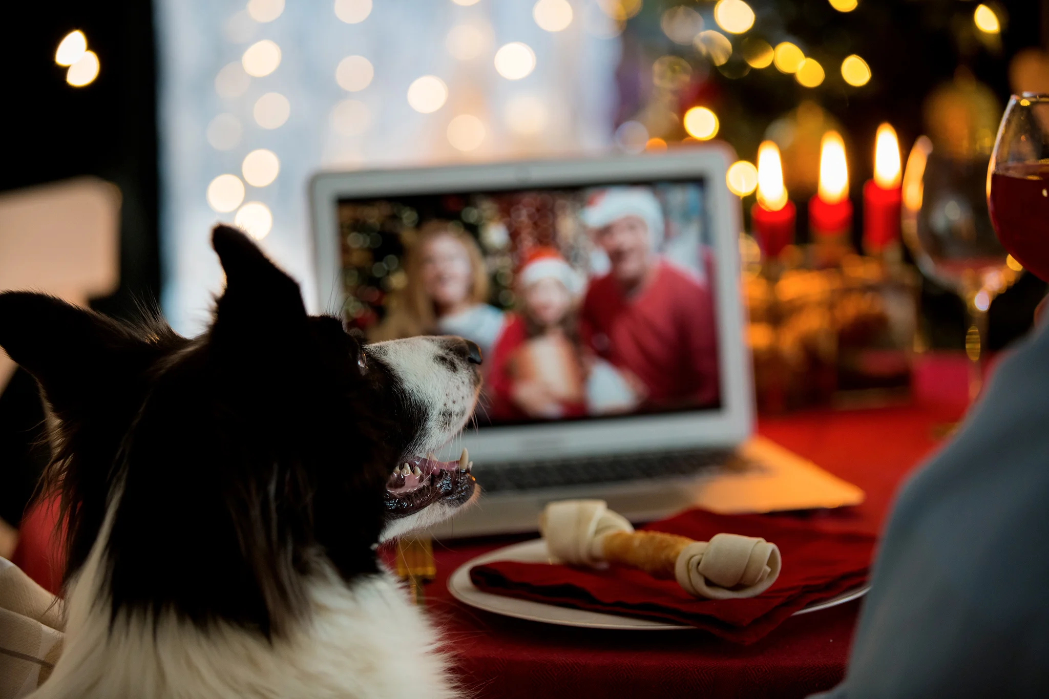 repas-noel-chien