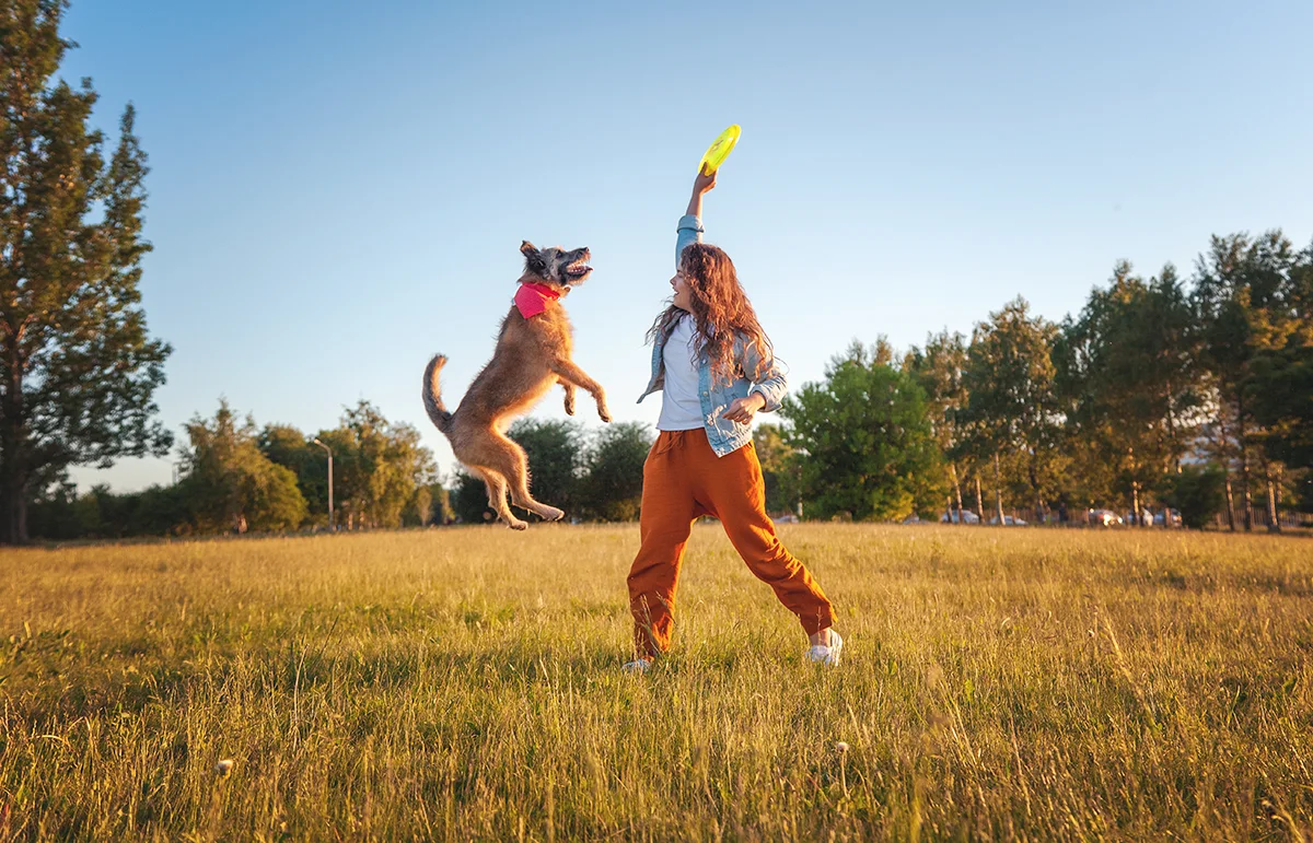 quel-sport-canin-pour-mon-chien