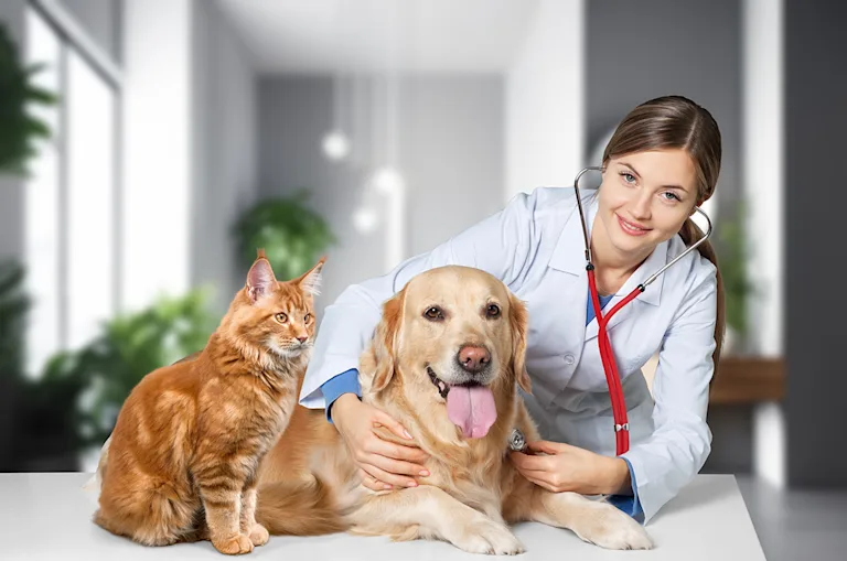 assurance-animaux-libre-choix-du-veterinaire