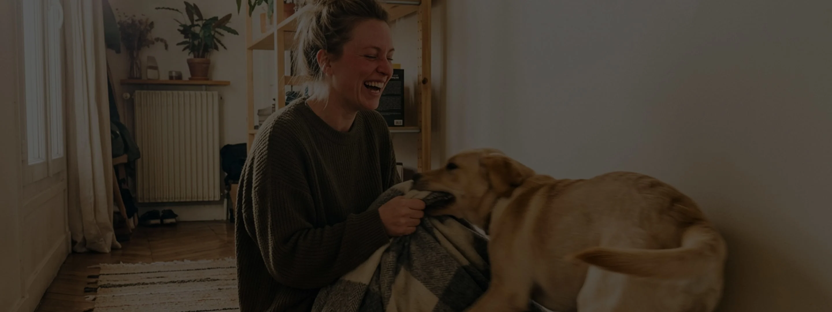 banner-chien
