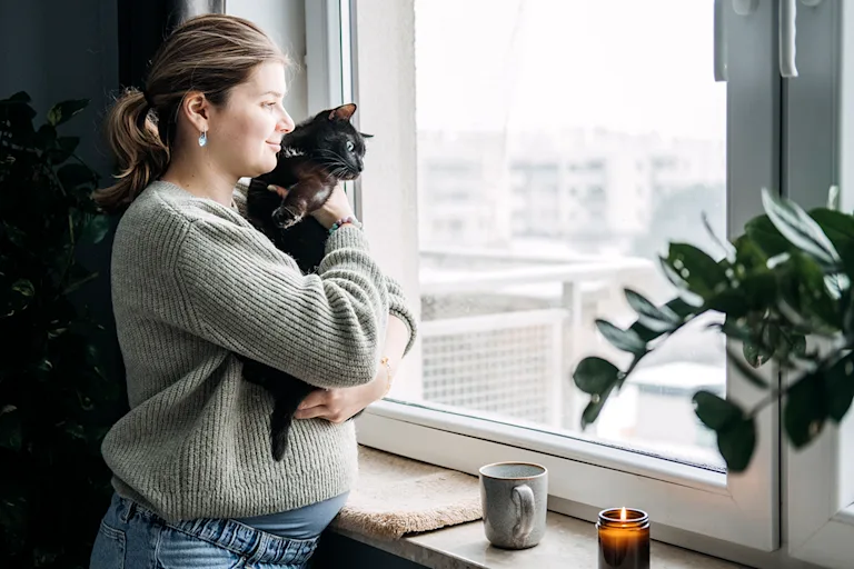 la-toxoplasmose-chez-le-chat-causes-symptomes-et-traitement