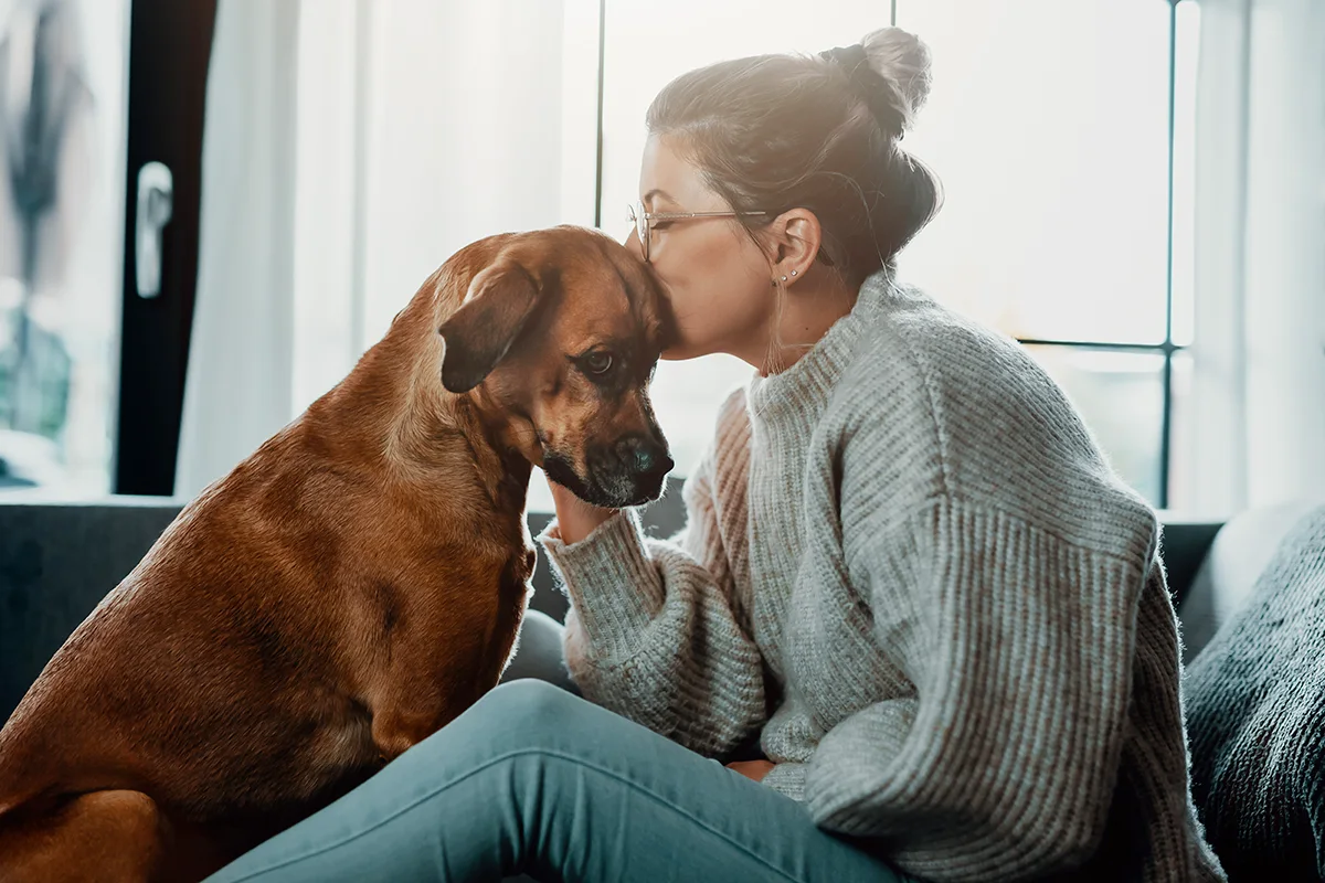 le-diabete-chez-le-chien-causes-symptomes-et-traitement