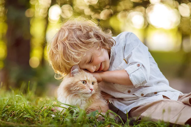 race-de-chat-pour-enfant